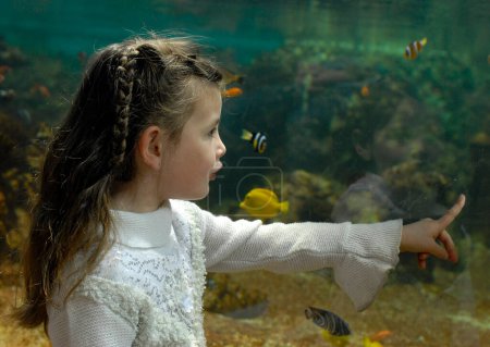 Téléchargez les photos : Petite fille et aquarium - en image libre de droit