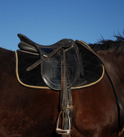 Foto de Silla de montar en la vista del caballo - Imagen libre de derechos