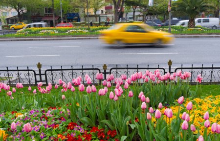 Photo for Spring in Istanbul on the streets - Royalty Free Image