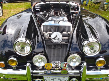 Photo for Black Jaguar Engine at exhibition - Royalty Free Image