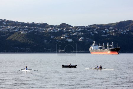 Téléchargez les photos : Rowing practice, Wellington harbour - en image libre de droit