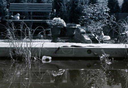 Foto de Foto en blanco y negro, un hermoso lago en el parque - Imagen libre de derechos