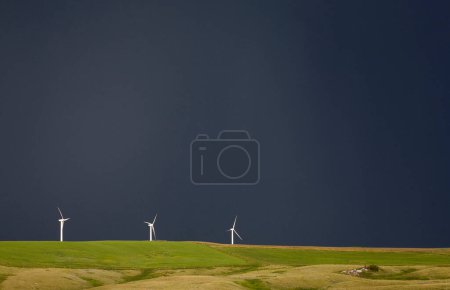Téléchargez les photos : Les éoliennes dans un champ vert - en image libre de droit