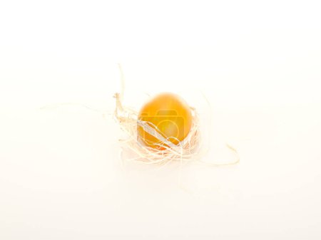 Foto de Huevo de Pascua sobre fondo blanco, primer plano - Imagen libre de derechos
