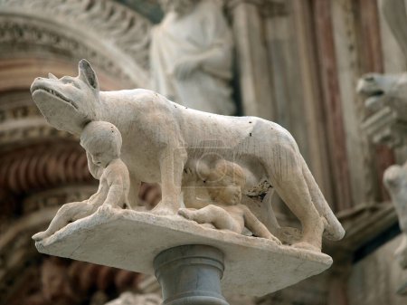 Téléchargez les photos : Sienne - colonne avec la louve devant la façade du Duomo - en image libre de droit