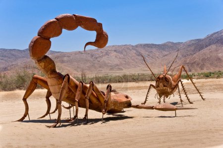Téléchargez les photos : Vue journalière du désert, arrière-plan naturel - en image libre de droit