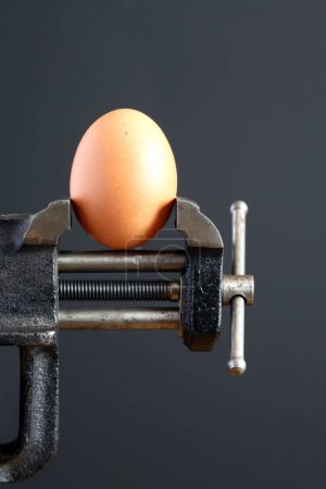 Photo for Egg in Pressure on dark background - Royalty Free Image