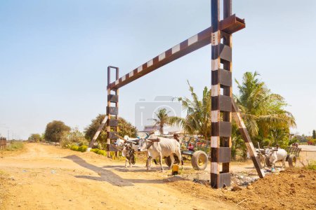 Photo for Bullock carts approach unmanned rail crossing - Royalty Free Image