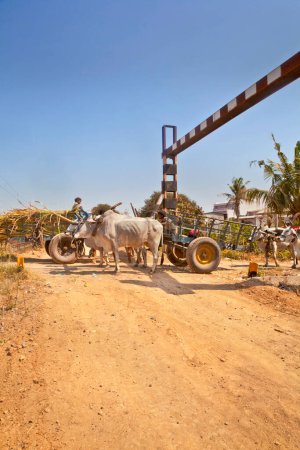 Photo for Bullock cart congestion Railway junctions hinte - Royalty Free Image