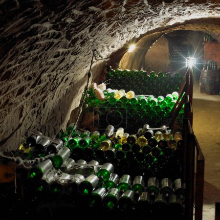 Téléchargez les photos : Cave à vin, Bily sklep rodiny Adamkovy, Chvalovice, République tchèque - en image libre de droit