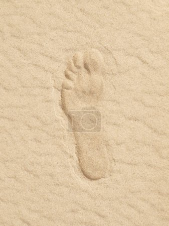 Téléchargez les photos : Empreinte au sable - en image libre de droit