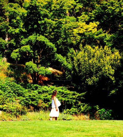 Téléchargez les photos : Belle femme enceinte marchant dans le parc - en image libre de droit