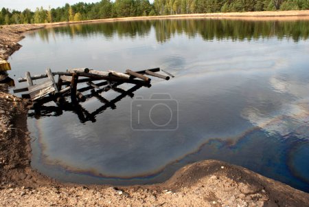 Foto de Petróleo en el agua del lago cerca del bosque - Imagen libre de derechos