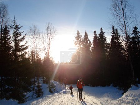 Photo for Scandinavian Lifestyle-skiing view - Royalty Free Image