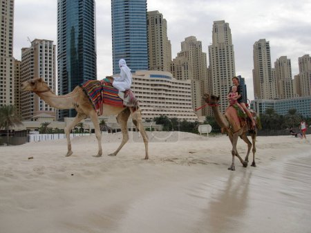 Téléchargez les photos : Style de vie scandinave - chevaucher des chameaux sur la plage - en image libre de droit