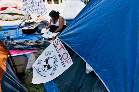 Téléchargez les photos : Un manifestant à Occupy L.A.. - en image libre de droit