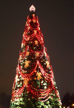 Photo for Beautiful festive Christmas tree for new year or Christmas background - Royalty Free Image