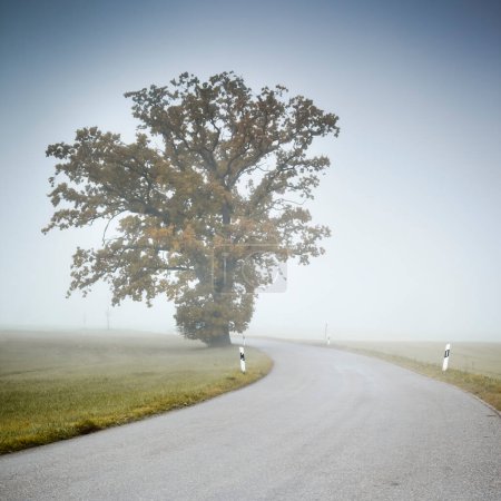 Foto de Hermoso paisaje con carretera por la mañana - Imagen libre de derechos