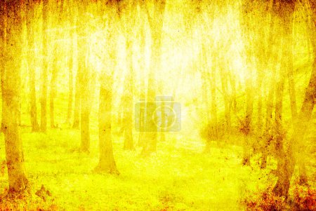 Foto de Árboles del bosque en colores otoñales. fondo de madera. - Imagen libre de derechos