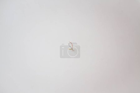 Photo for Cables on white wall - Royalty Free Image