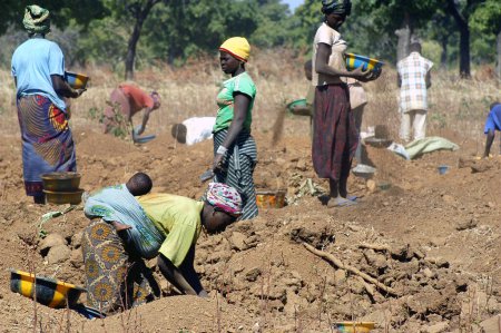 Téléchargez les photos : Processus de travail à la mine d'or de Poura, Afrique - en image libre de droit