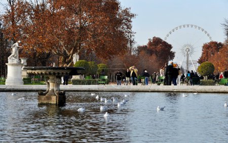 Téléchargez les photos : Les jardins des Tuileries à Paris - en image libre de droit