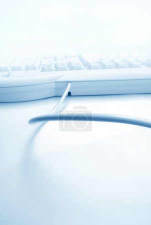 Téléchargez les photos : Clavier d'ordinateur sur fond blanc - en image libre de droit