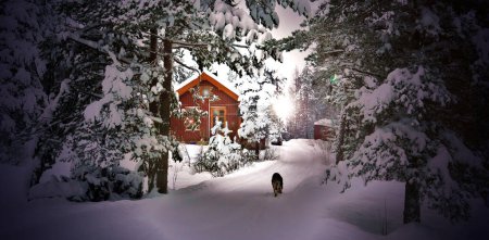 Foto de País de las maravillas del invierno, Noruega, Aust-Agder - Imagen libre de derechos