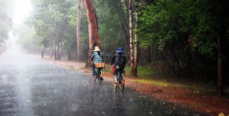 Photo for People riding bicycles in rainy forest - Royalty Free Image