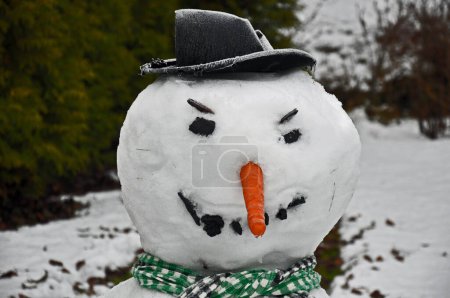 Téléchargez les photos : Bonhomme de neige dans un jardin au visage en colère - en image libre de droit