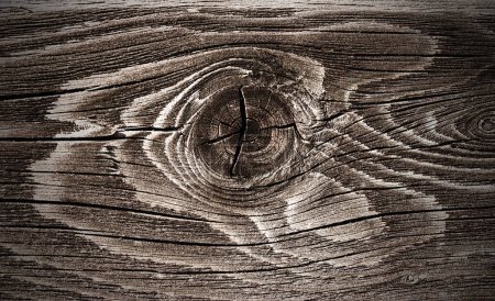 Photo for Old wood texture background. wood knot - Royalty Free Image