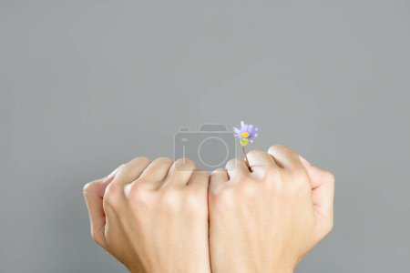 Téléchargez les photos : Concept de plante poussant des mains de la femme - en image libre de droit