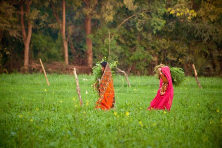 Photo for Indian women work at farmland - Royalty Free Image