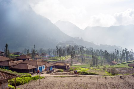 Téléchargez les photos : Belle vue panoramique sur le village de montagne indonésien - en image libre de droit
