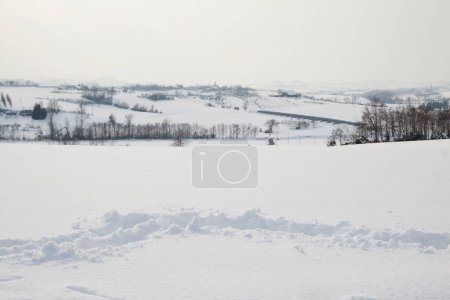 Téléchargez les photos : Belle et pittoresque vue sur le paysage de neige dans la forêt - en image libre de droit