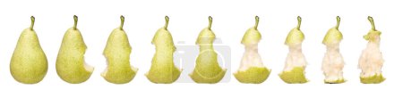 Photo for Pear Time Lapse over white background - Royalty Free Image