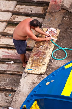 Téléchargez les photos : Le pêcheur travaillant avec le poisson, vue de dessus - en image libre de droit