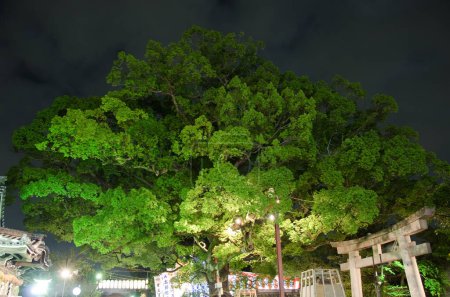 Foto de Festival de la Luna Santuario de Mozu Hachimangu - Imagen libre de derechos