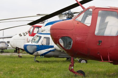 Téléchargez les photos : Hélicoptères et herbe verte sur fond de nature - en image libre de droit