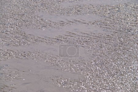 Photo for Mud flat of North sea shore - Royalty Free Image