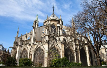 Foto de Notre dame cathedral in paris, francia - Imagen libre de derechos