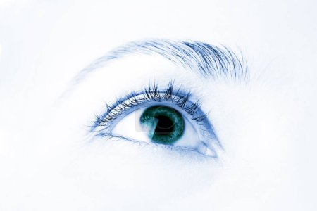 Foto de Macro de hermoso ojo humano - Imagen libre de derechos