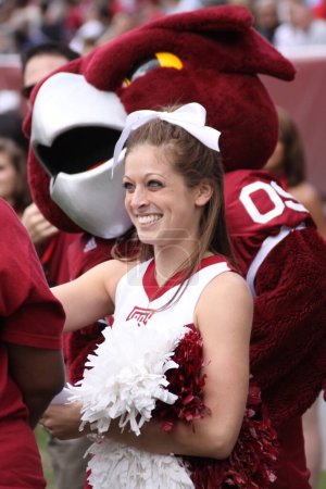 Photo for Temple cheerleaders and mascot on the sidelines - Royalty Free Image