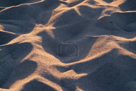 Photo for Sandy beach, close up - Royalty Free Image