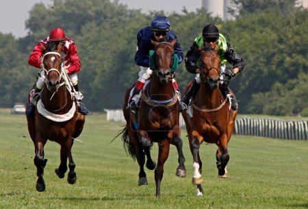 Téléchargez les photos : Serrures lors de courses de chevaux - en image libre de droit