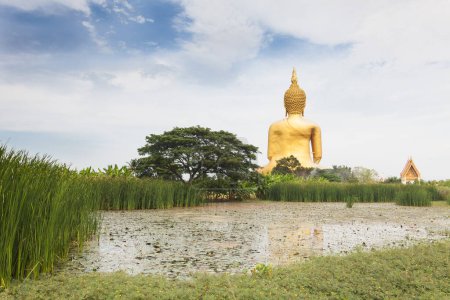 Téléchargez les photos : Grande statue de bouddha vue panoramique - en image libre de droit