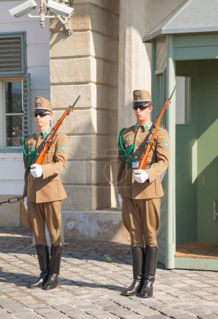 Téléchargez les photos : Garde d'honneur à Budapest, Hongrie - en image libre de droit