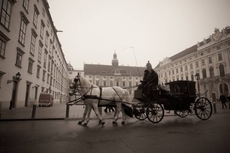 Foto de Despegue de transporte en las calles de Viena, Austia - Imagen libre de derechos
