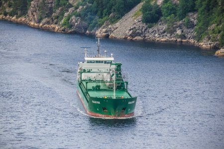 Foto de Buques de carga en ringdalsfjord sobre fondo natural - Imagen libre de derechos