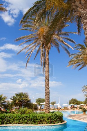 Foto de Piscina de lujo con palmeras - Imagen libre de derechos